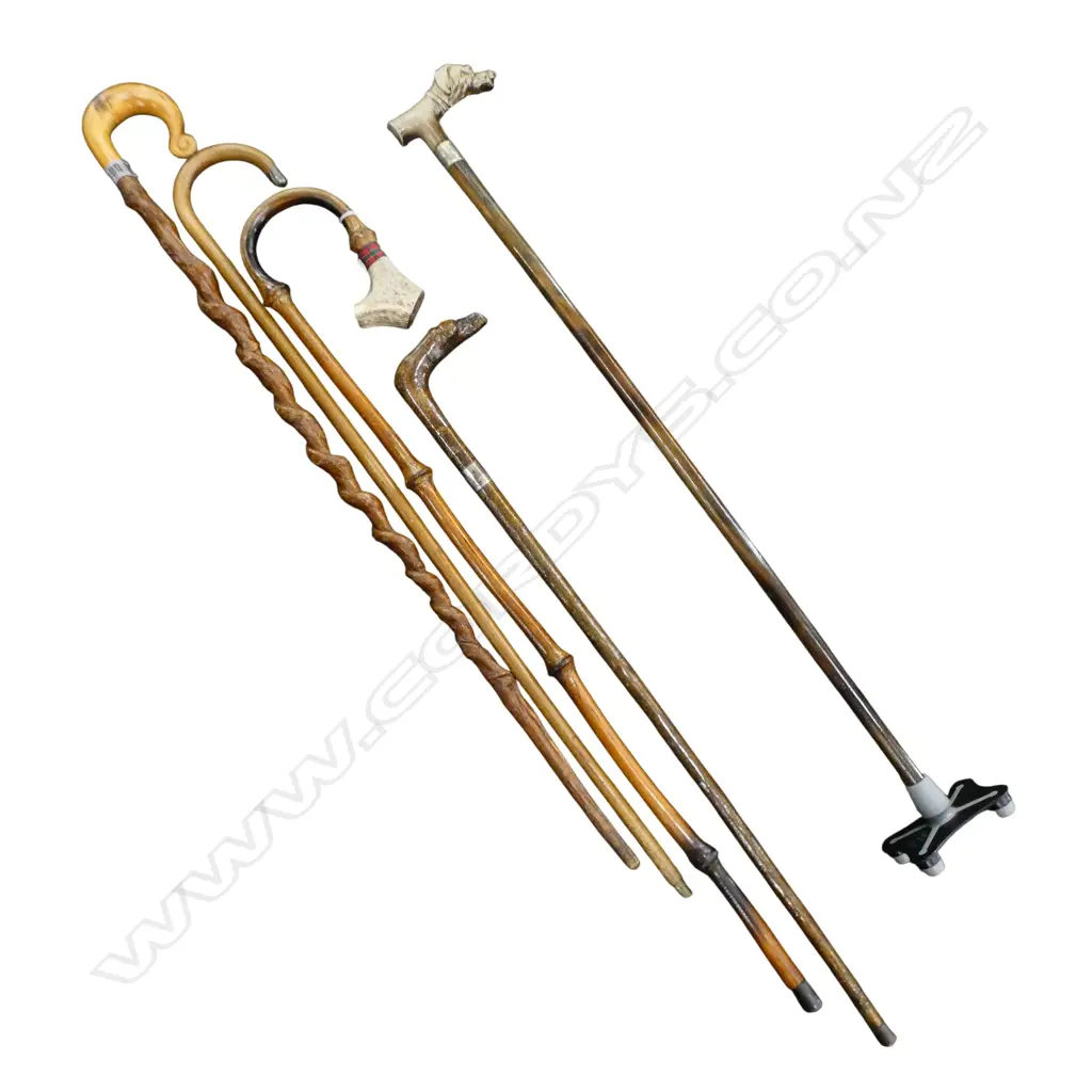 5 WALKING STICKS Image 1++