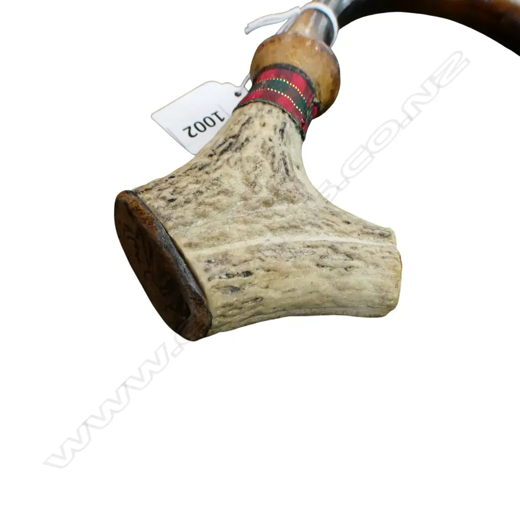 5 WALKING STICKS Image 1++