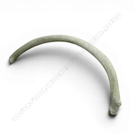 LG OLD MAMMAL RIB BONE W.1520mm