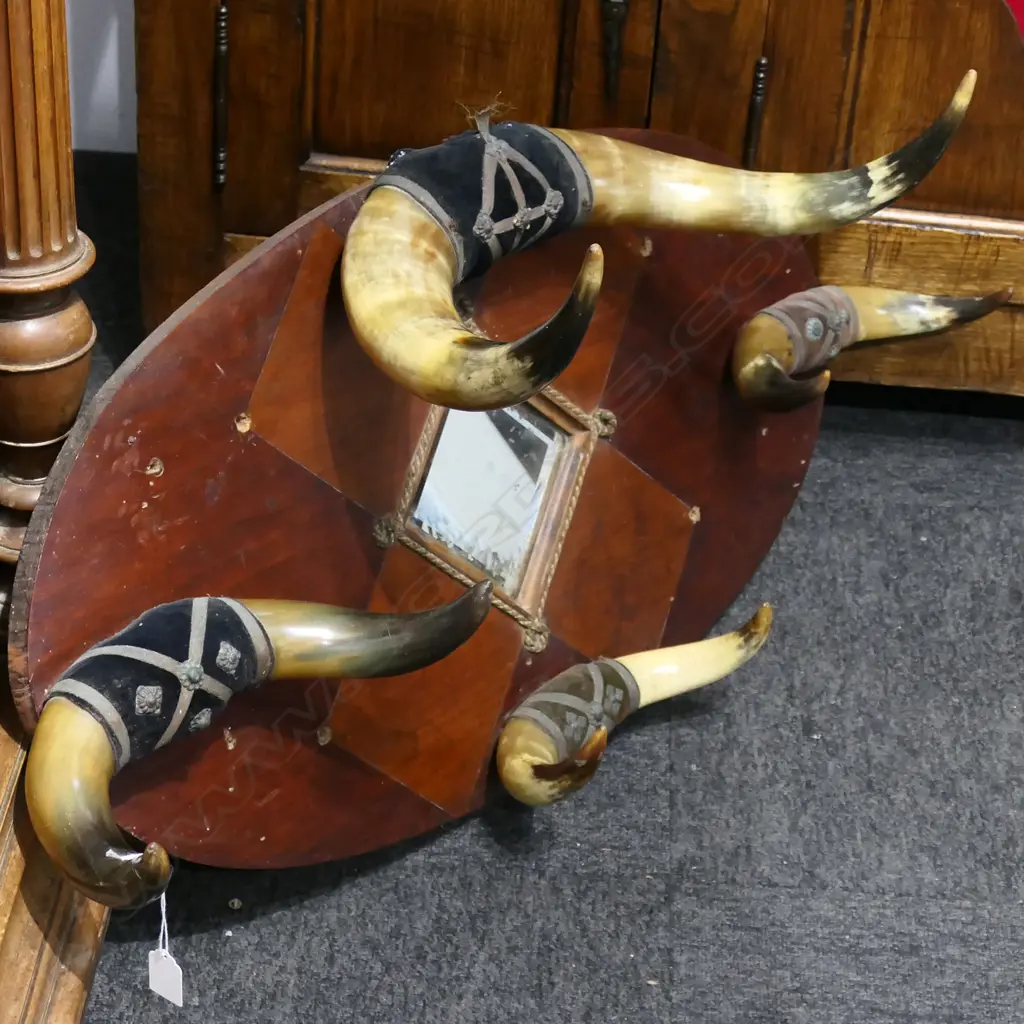 MIRROR w. 4 MOUNTED HORNS 500x1000mm Image 1++