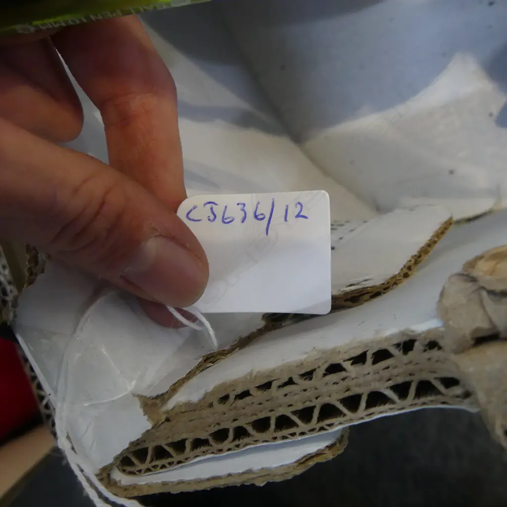BOHEMIA CHAMPAGNE GLASSES ETC Image 1++