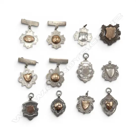 12 S/SILVER MEDALS 80GMS