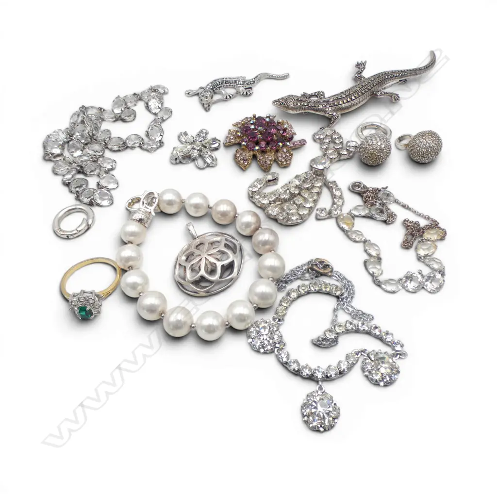 ASST. COSTUME JEWELLERY, INCL. STG SILVER LIZARD BROOCH L.100mm 22gms, PENDANT Image 1++