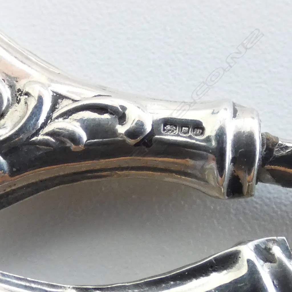 PR STG SILVER SCISSORS + CASES L.110mm, 50gms Image 1++