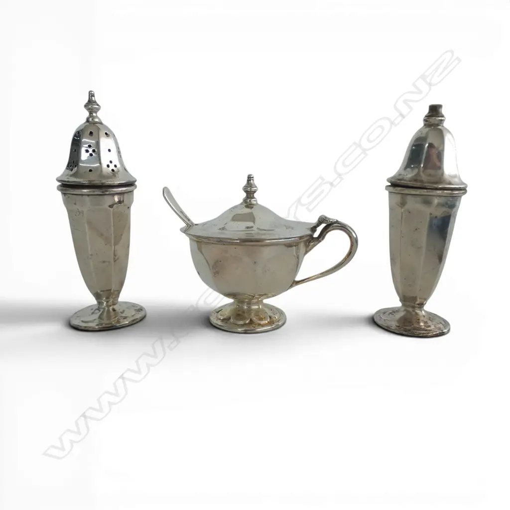 CASED S/SILVER 3PC CONDEMENT SET 169GMS  Image 1++