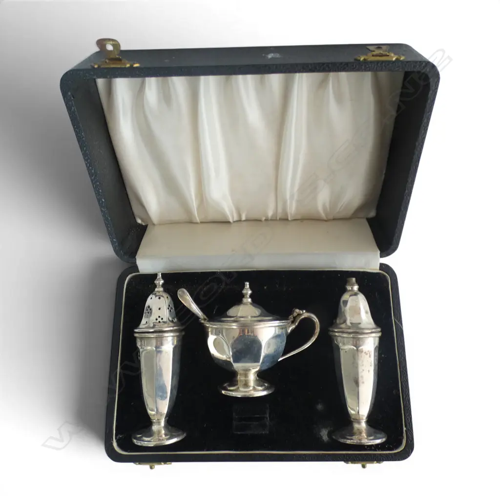 CASED S/SILVER 3PC CONDEMENT SET 169GMS  Image 1++