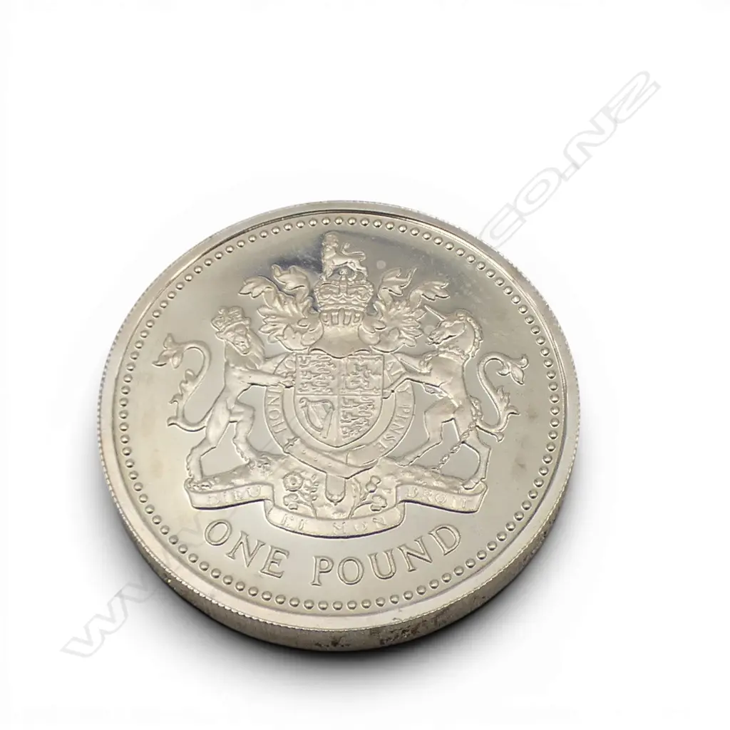 UK .925 ONE POUND COIN 9.59gms Image 1++