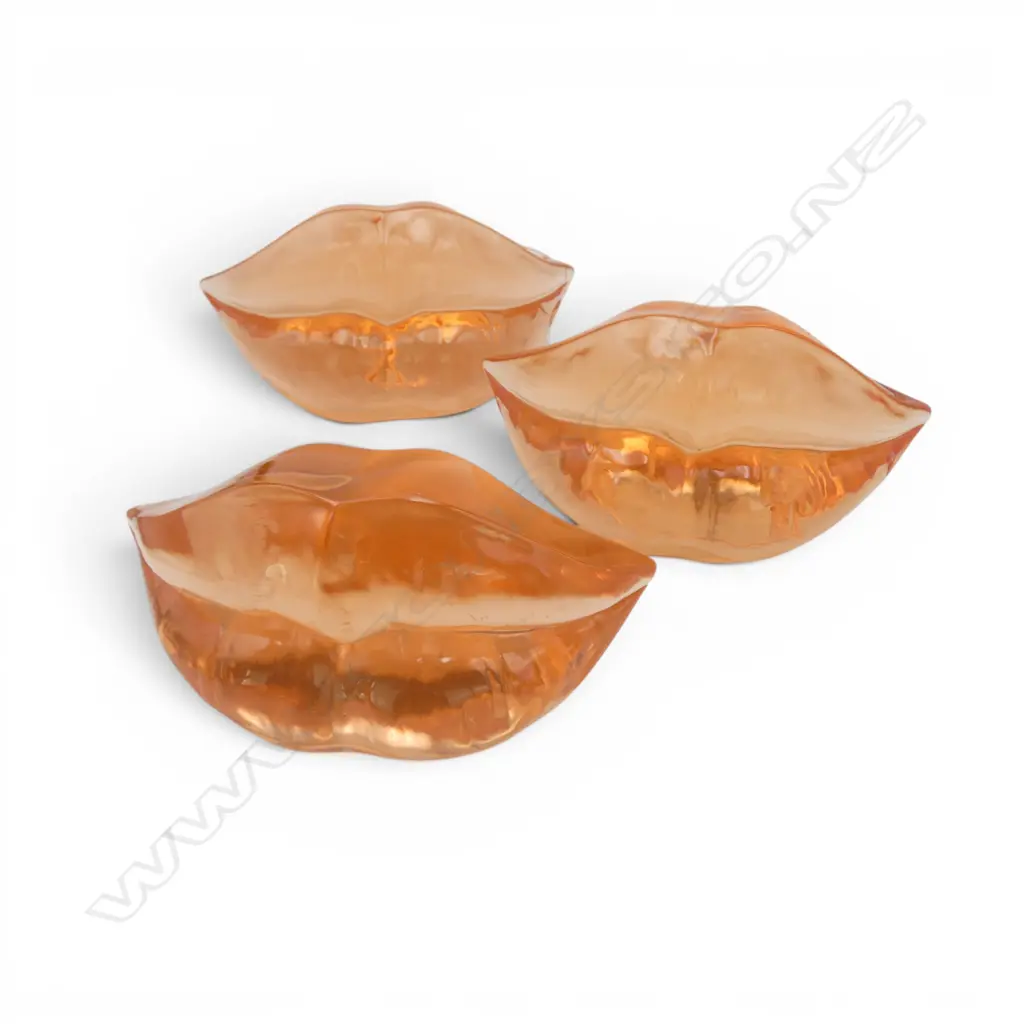 3 CLEAR RESIN LIPS W.160mm Image 1++