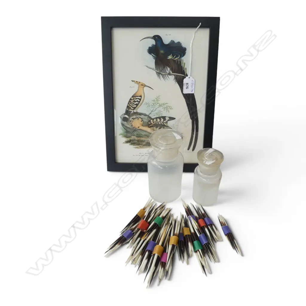 2 LIDDED GLASS JARS H.150mm, PORCUPINE QUILLS, BIRD PRINT 285x200mm Image 1++
