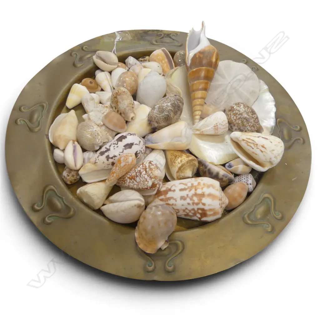 TROPICAL ISLAND SHELL COLLECTION ON VINTAGE BRASS TRAY DIA360MM Image 1++