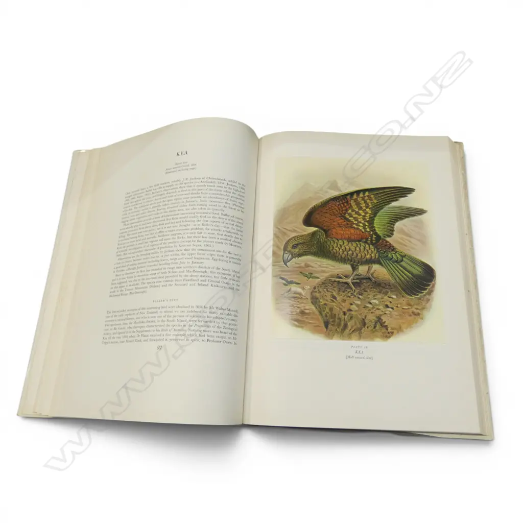 REF BOOK BULLERS BIRDS OF NZ IN DUST COVER  Image 1++