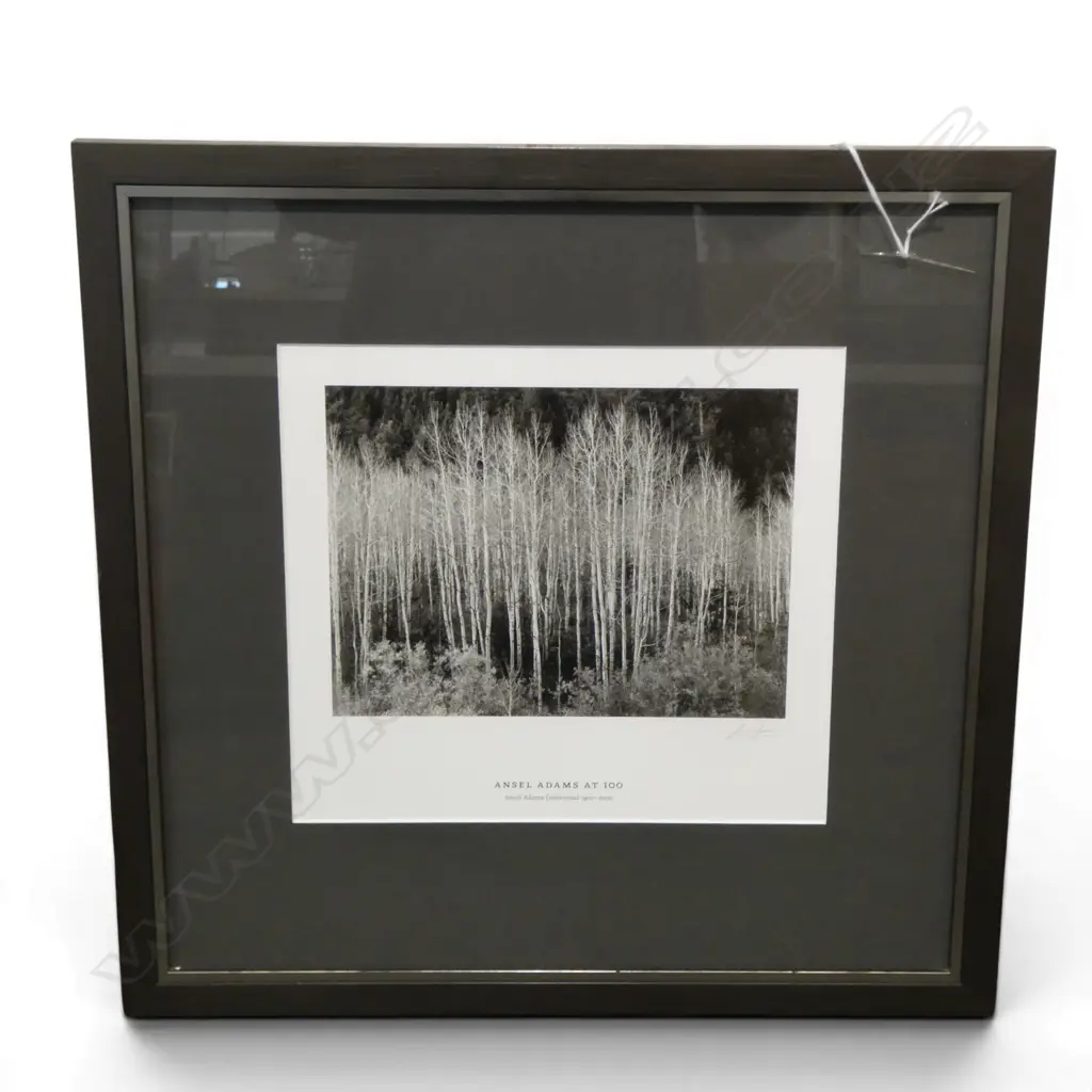 ANSELL ADAMS PRINT 235x260mm Image 1++