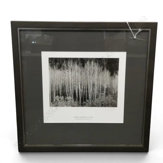ANSELL ADAMS PRINT 235x260mm