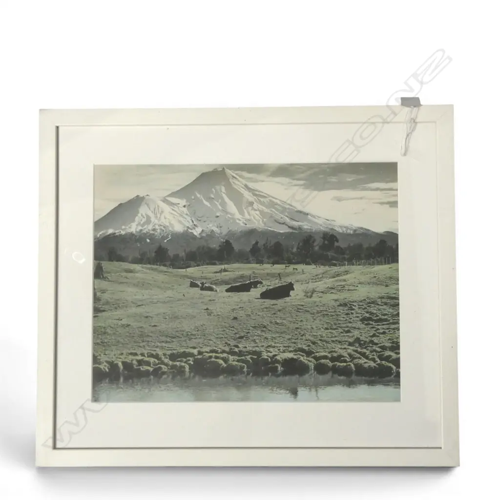 WHITES AVIATION, MOUNT EGMONT, 280x360mm Image 1++