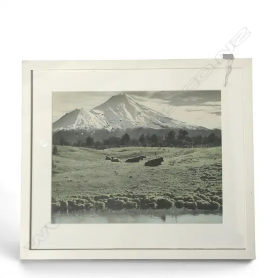 WHITES AVIATION, MOUNT EGMONT, 280x360mm