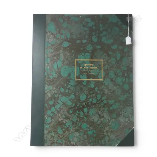 1977 FACSIMILE R. A. OLIVER 'SKETCHES IN NEW ZEALAND' 26/500 590x460mm