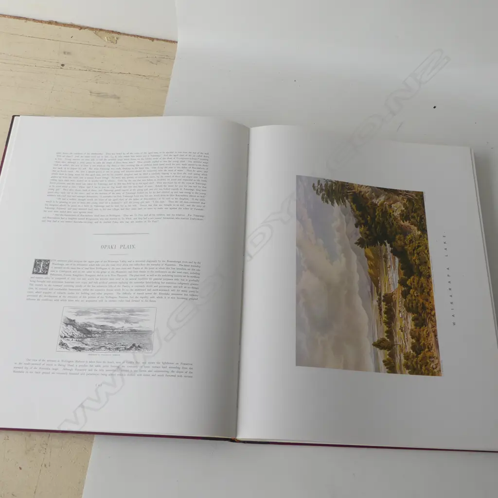 NZ GRAPHIC & DESCRIPTIVE ILLUSTRATIONS by C.D. BARRAUD GD. COND Image 1++
