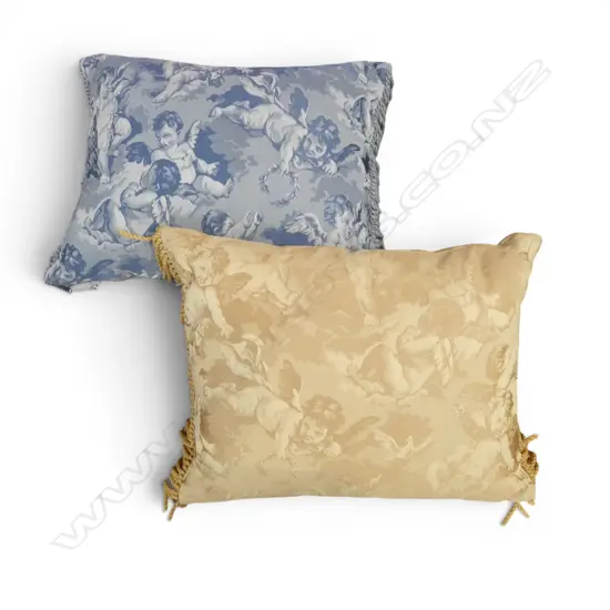 2 CUSHIONS W.450mm