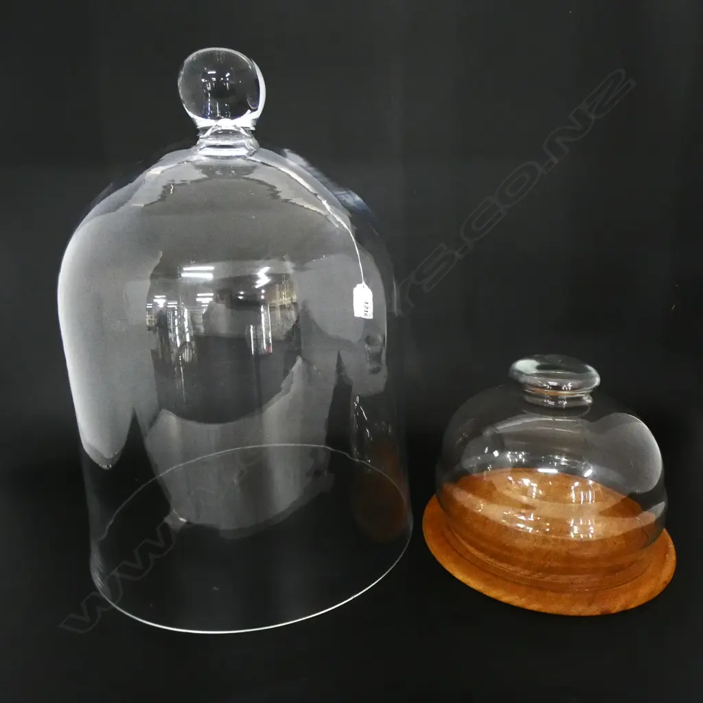 2 GLASS DOMES H.390mm Image 1++