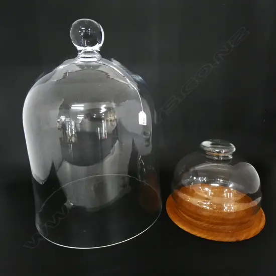 2 GLASS DOMES H.390mm