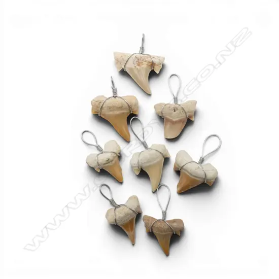 BAG OF FOSSILISED SHARKS TEETH 