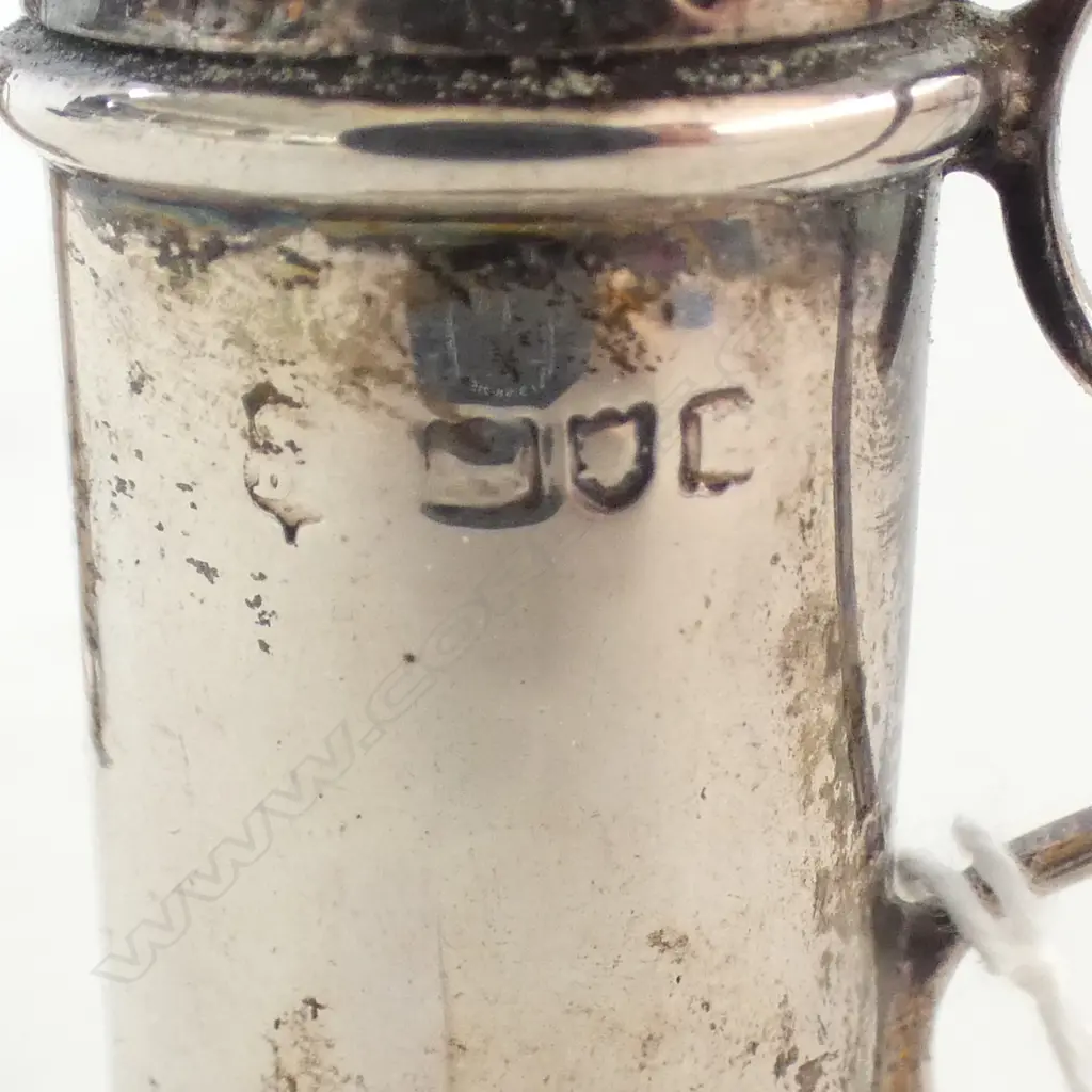 PR S/SILVER PEPPERS 84GMS Image 1++