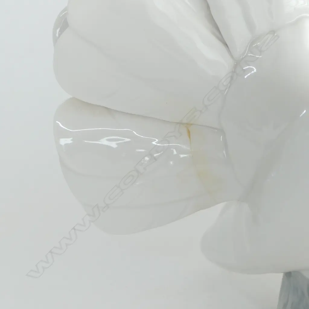 2 LLADRO DOVES H.195mm LARGER w. TAIL REPAIRED Image 1++