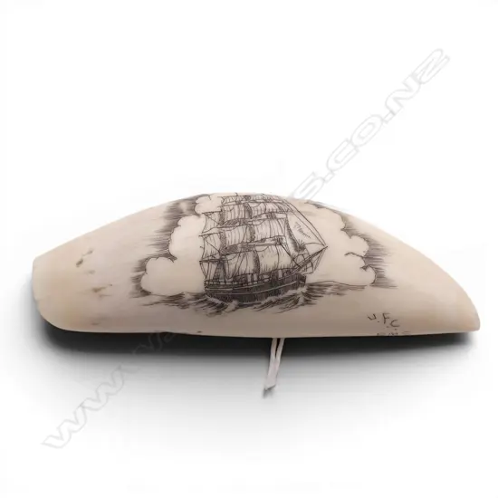 SMALL SCRIMSHAWED WHALES TOOTH L80MM