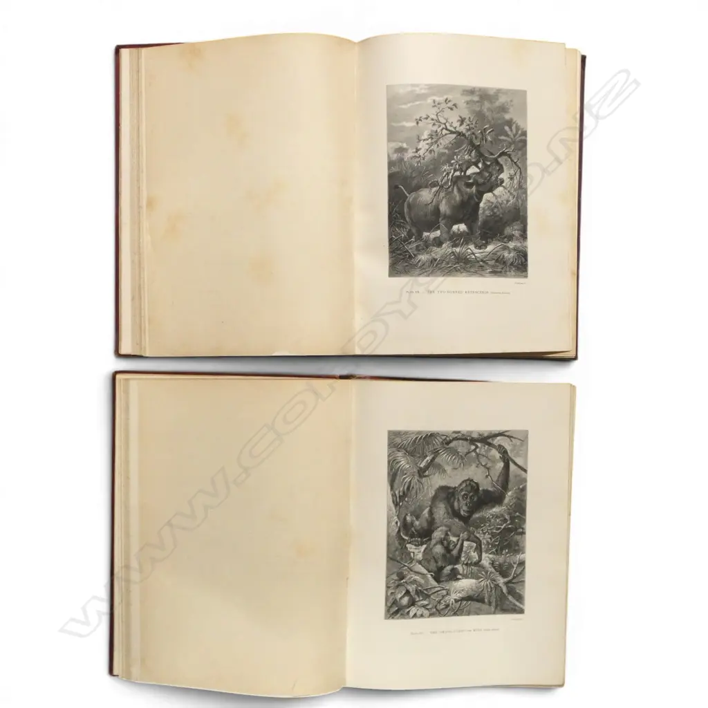 THE NATURAL HISTORY OF ANIMALS bY CARL VOGT & FRIEDRICH SPECHT VOLS. I & II Image 1++