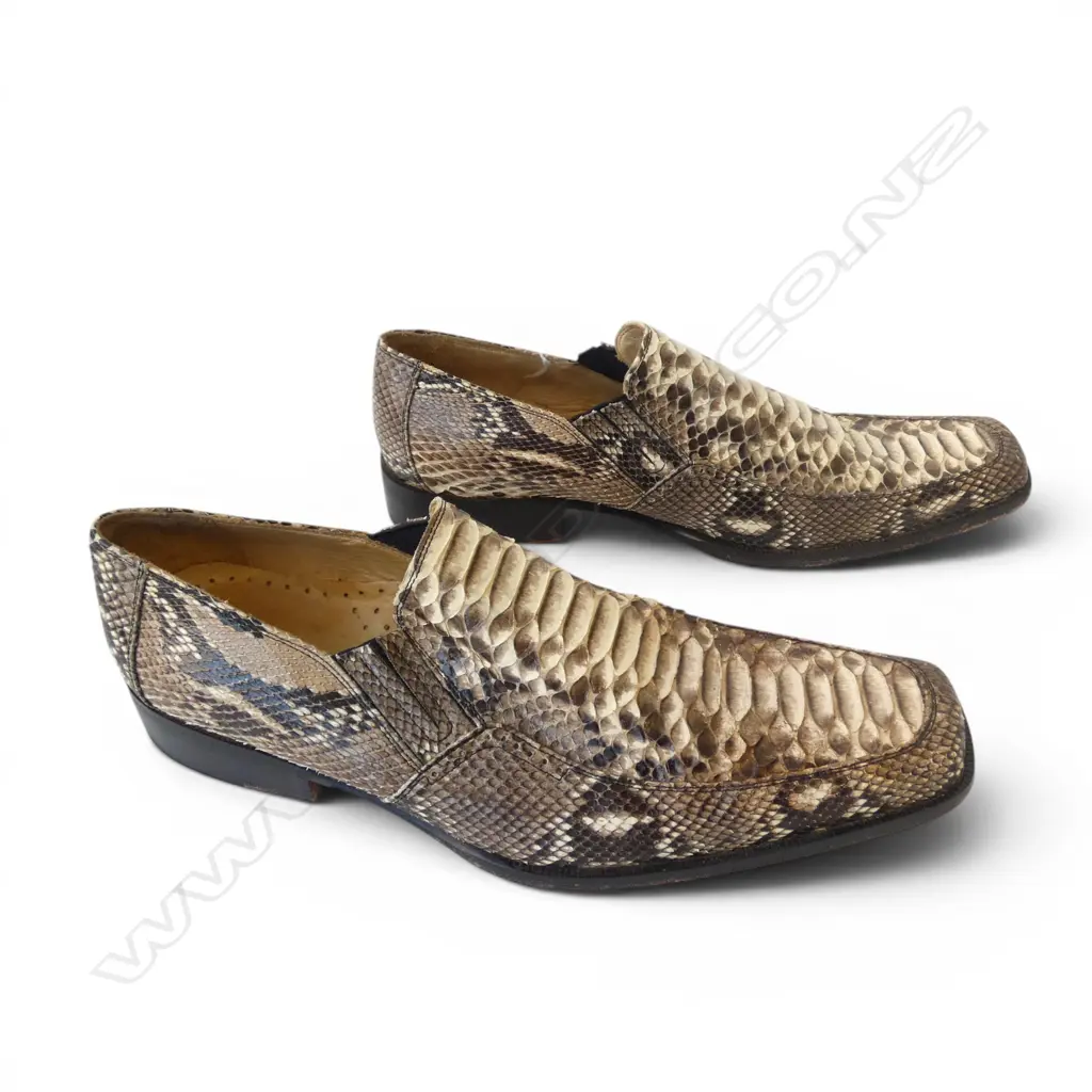 PR SNAKE SKIN SHOES SIZE 42 L.300mm Image 1++
