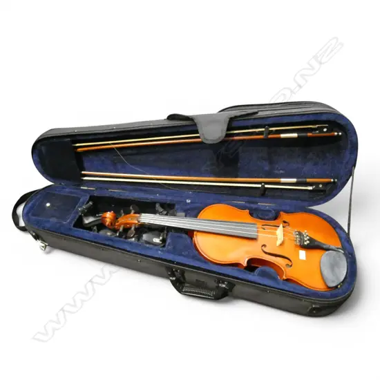 CASED VIOLIN PALATINO VIOLIN