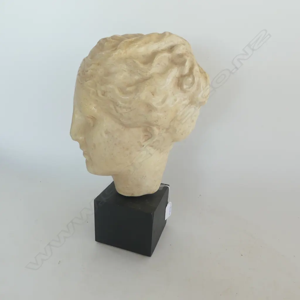 VINTAGE CERAMIC marble carved style GRECIAN HEAD on ebonised block base w brass rod. H.370mm. Metal tag to ear Image 1++