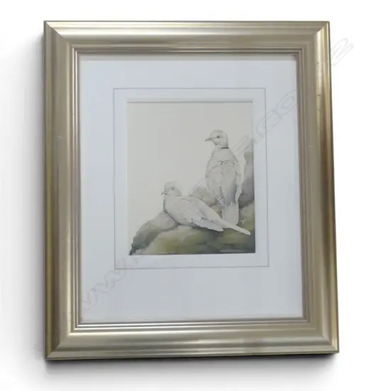 GAIL THOMPSON, BARBARY DOVE, 1996, WATERCOLOUR, 335x275mm