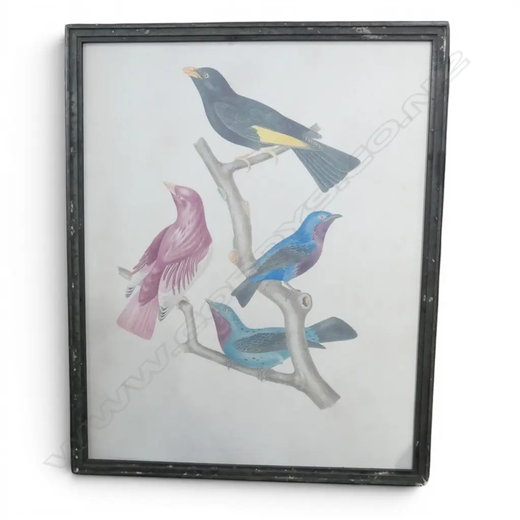 LG BIRD PRINT 980x780mm Image 1++