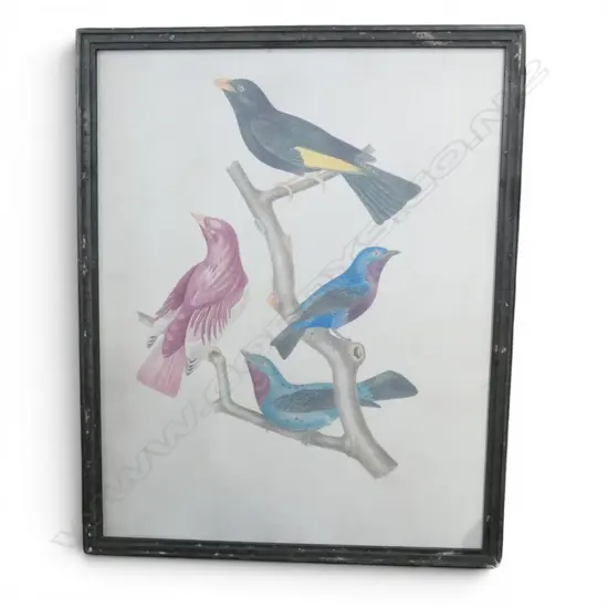 LG BIRD PRINT 980x780mm