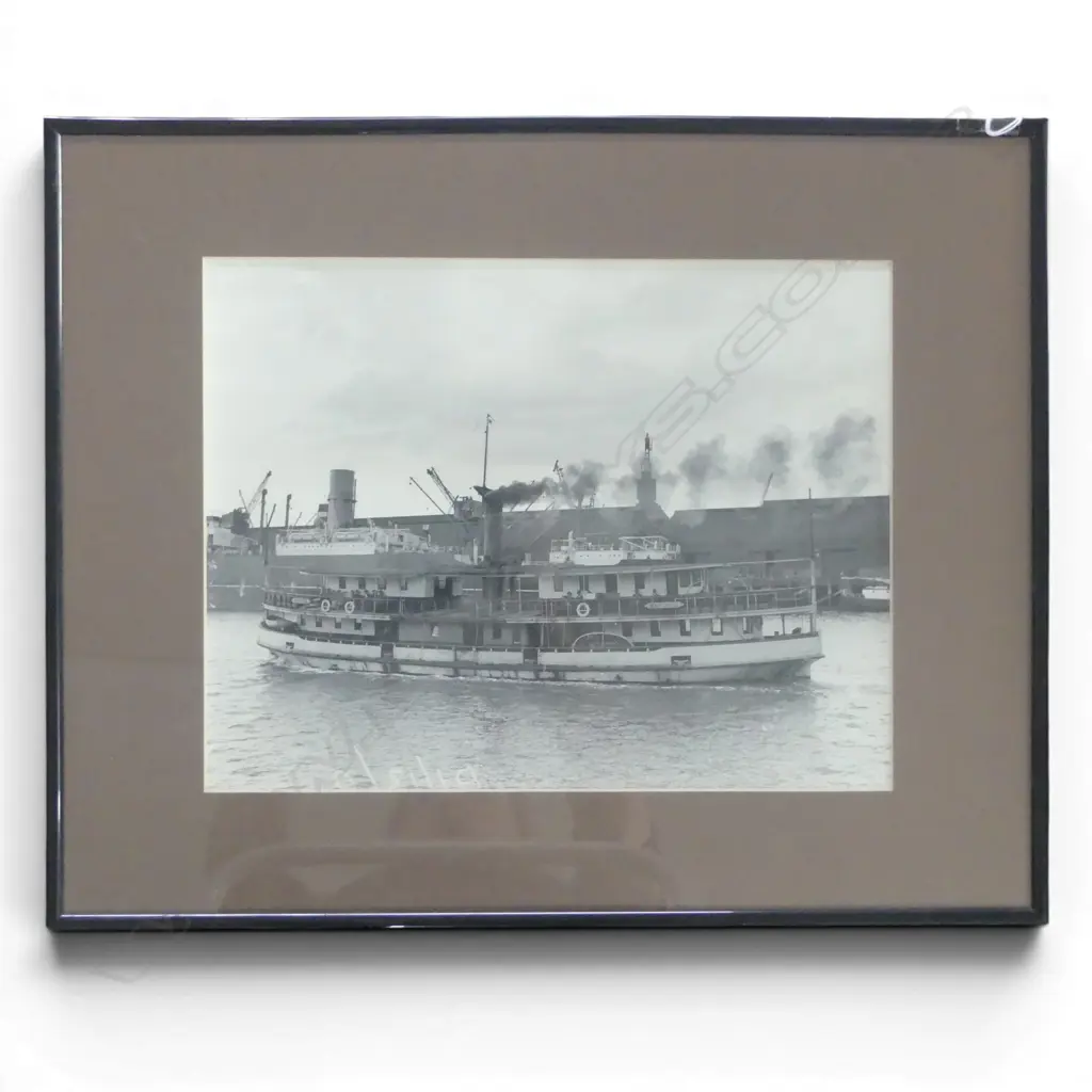 FRAMED IMAGE OF THE KESTREL AUCKLAND HARBOUR 270x350mm Image 1++
