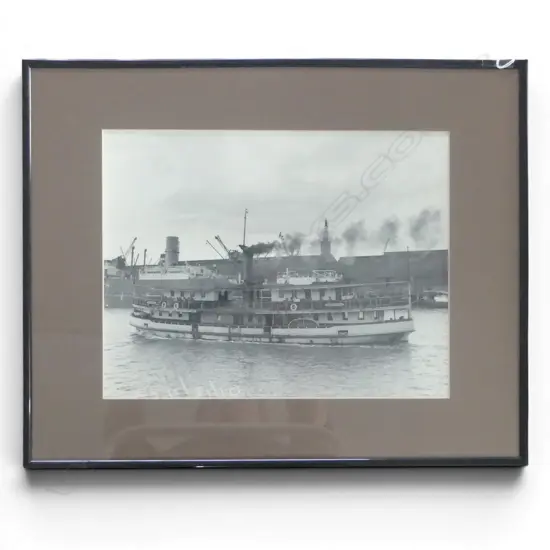 FRAMED IMAGE OF THE KESTREL AUCKLAND HARBOUR 270x350mm