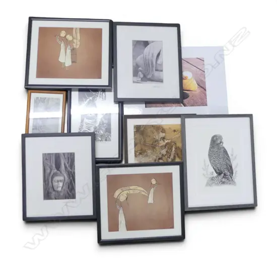 ASST. N.Z. FRAMED PHOTOGRAPHS & PRINTS