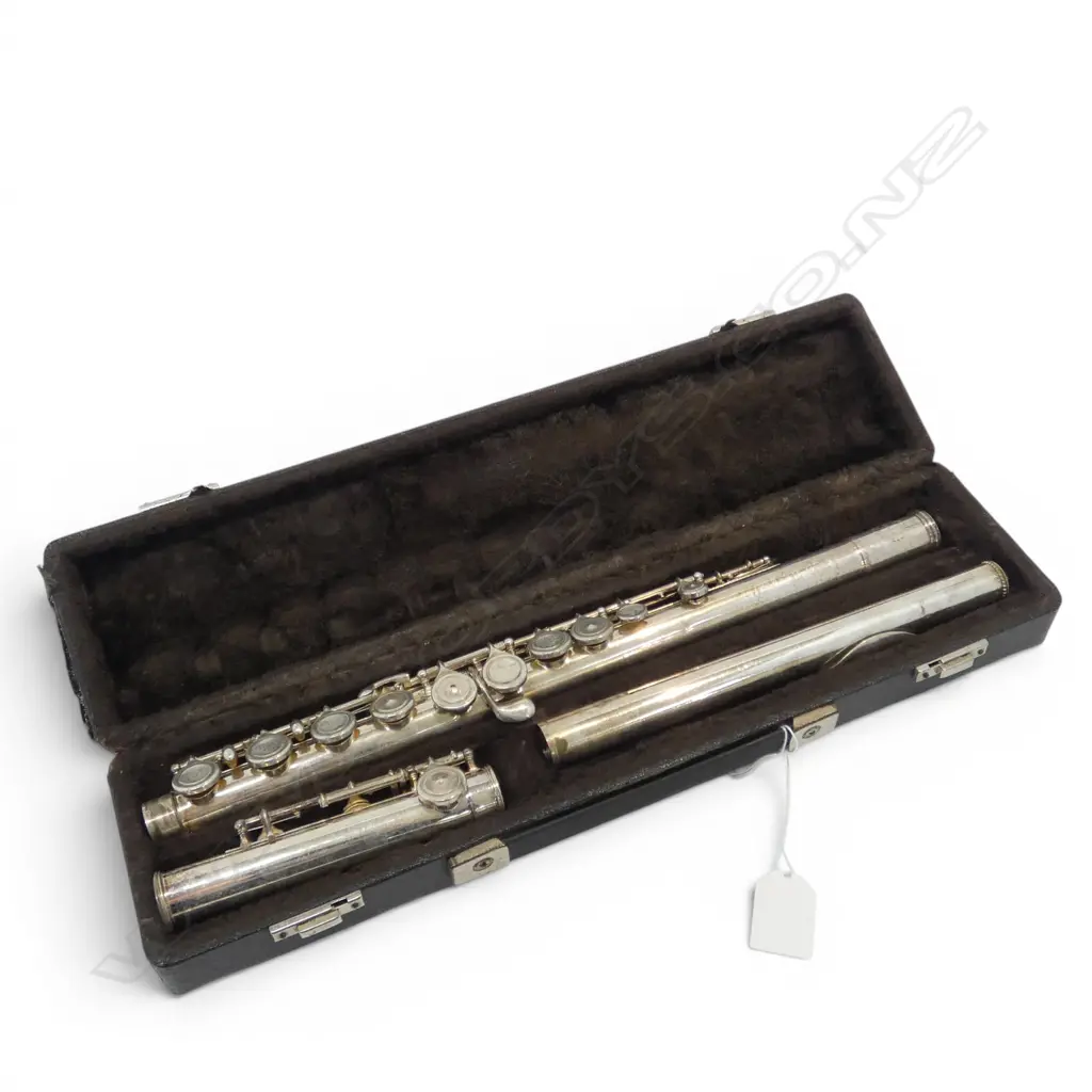CASED FLUTE  Image 1++