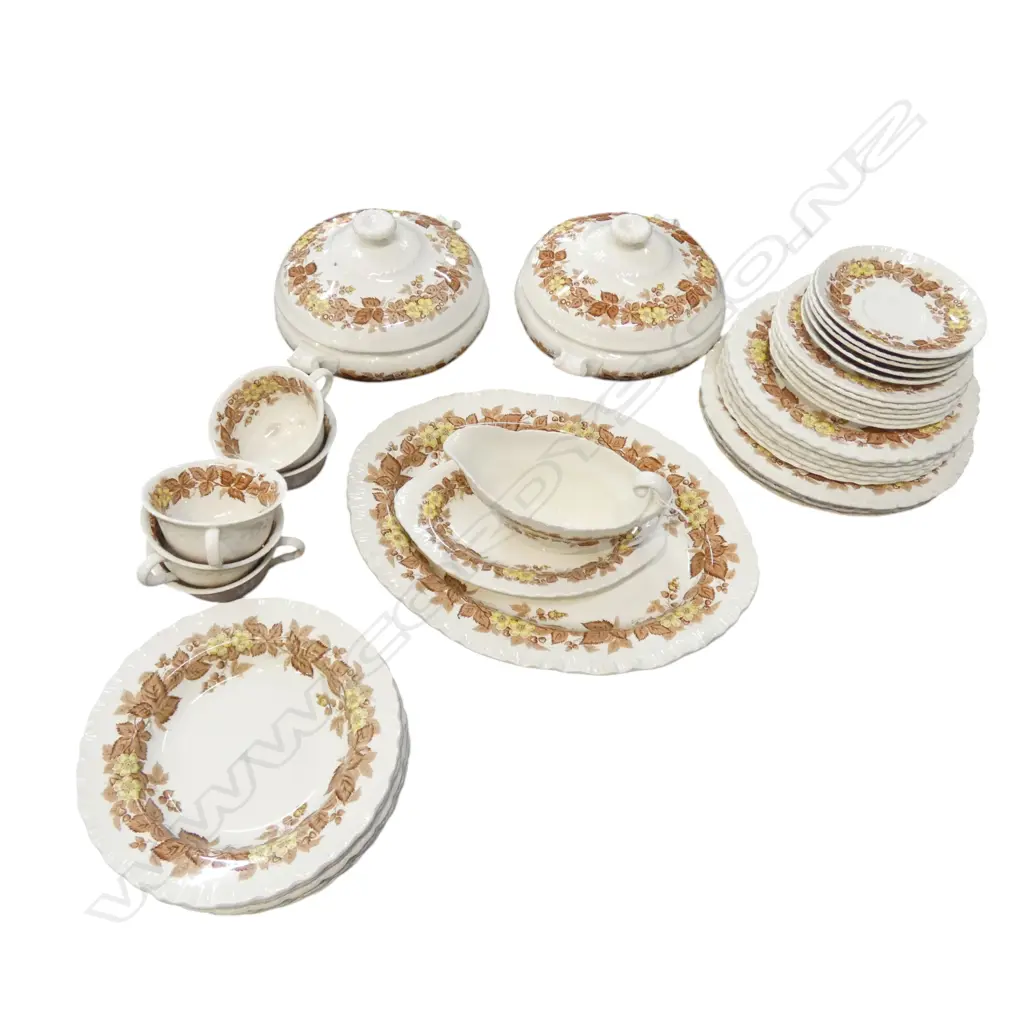 WEDGWOOD WILDBRIAR 31PCE DINNER SET Image 1++