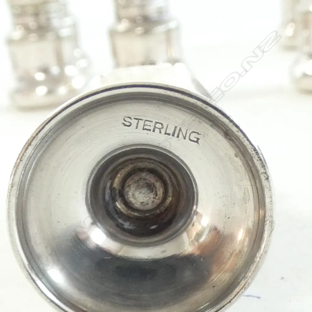 4 STG + 6 SILVER SALT & PEPPERS 91gms Image 1++
