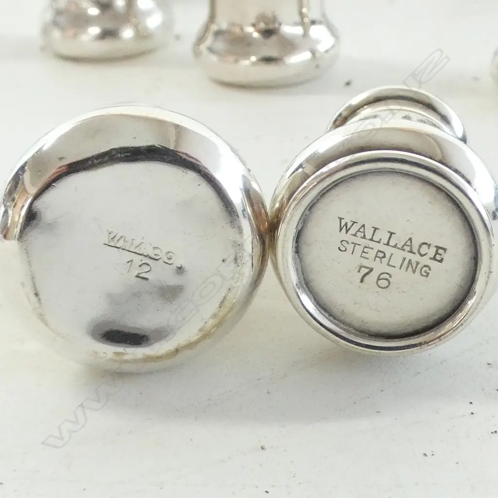 4 STG + 6 SILVER SALT & PEPPERS 91gms Image 1++