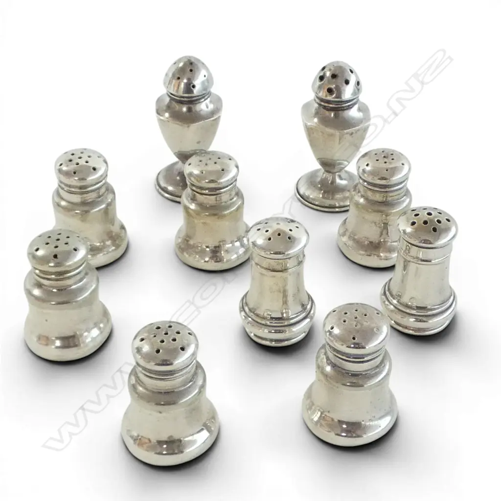 4 STG + 6 SILVER SALT & PEPPERS 91gms Image 1++