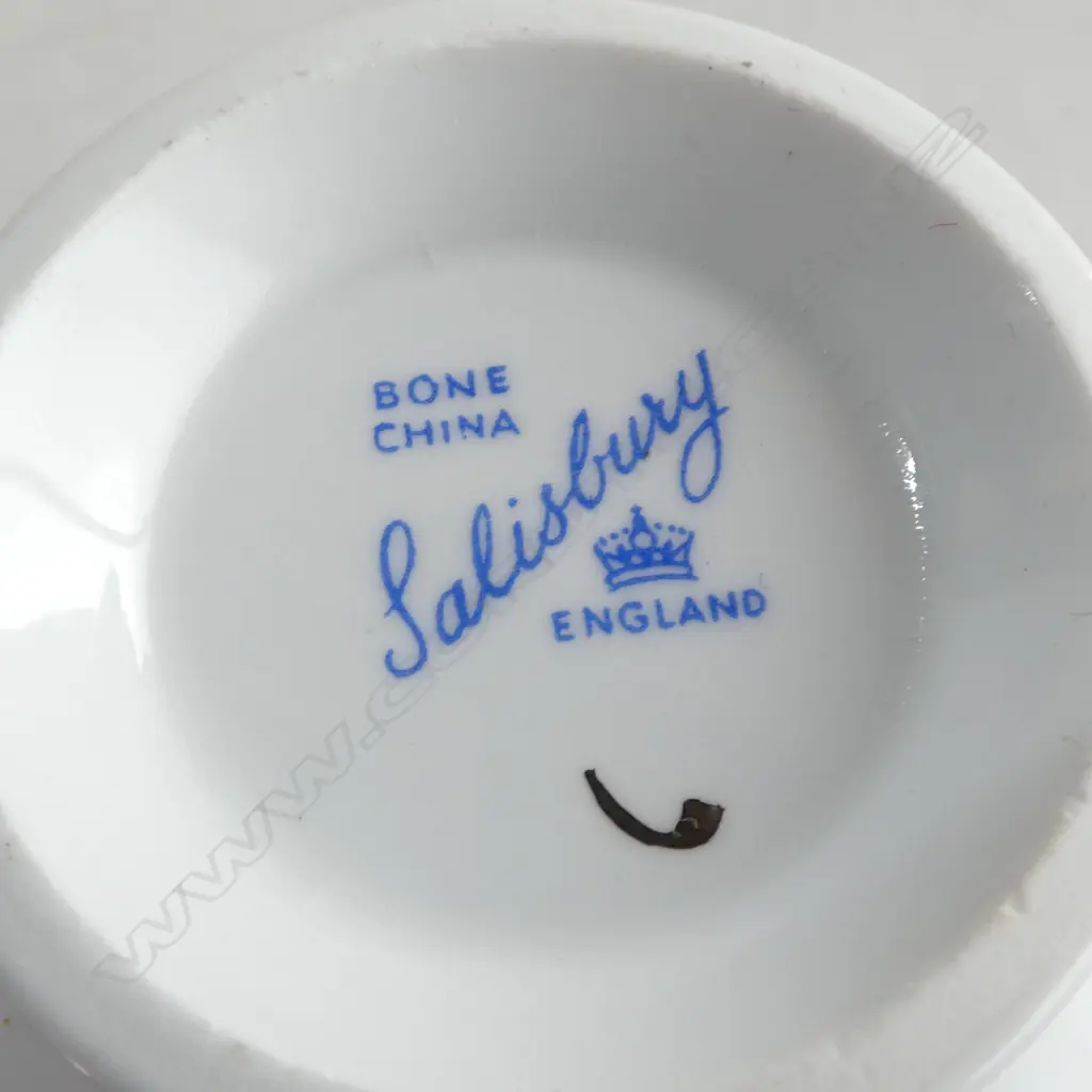 18 PCE SALISBURY TEA SET Image 1++