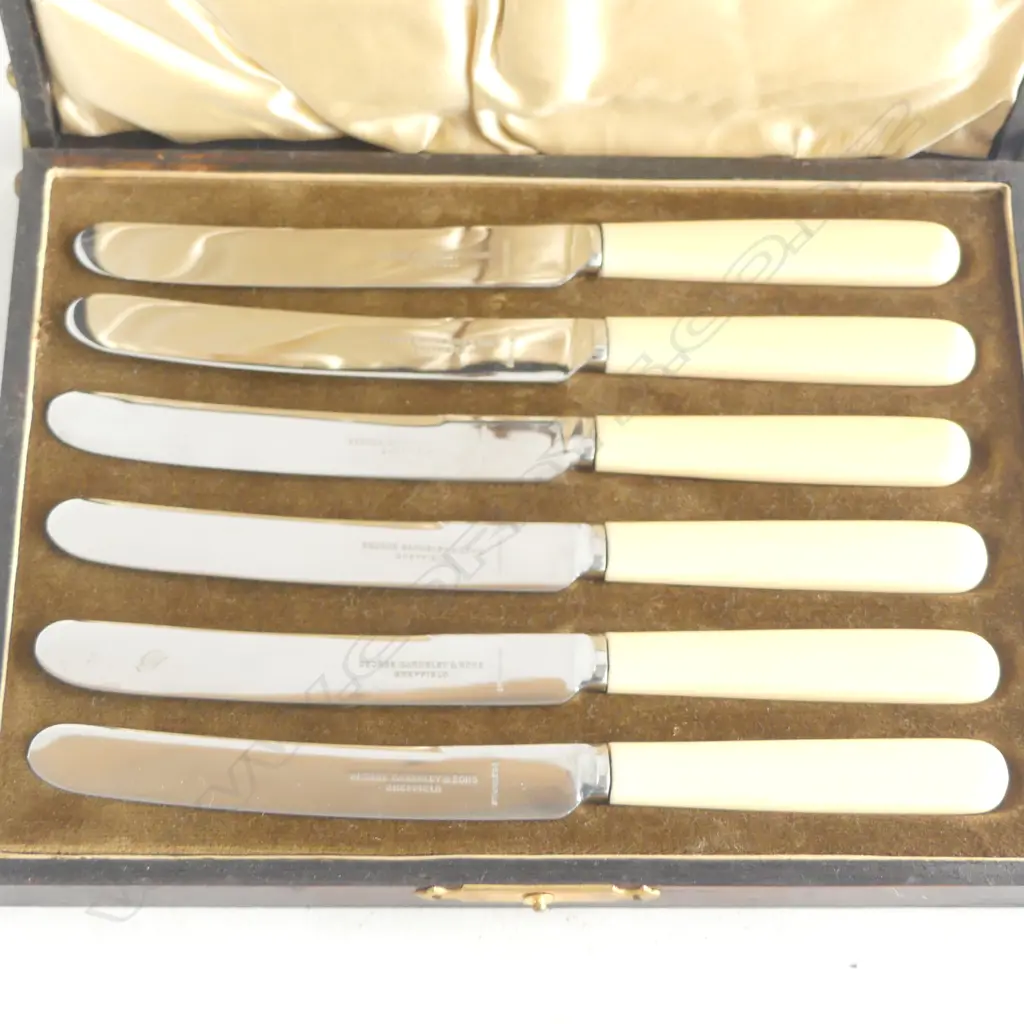 6 LAGUIOLE STEAK KNIVES L.230mm + SET OF 6 BUTTER KNIVES, CASED Image 1++
