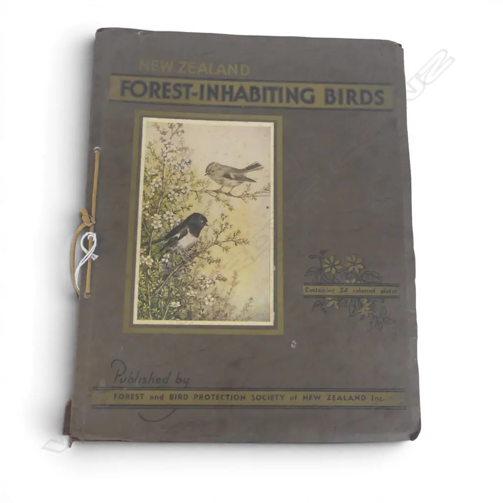 FOREST AND BIRD NEW ZEALAND FOREST-INHABITING BIRDS second edition  Image 1++