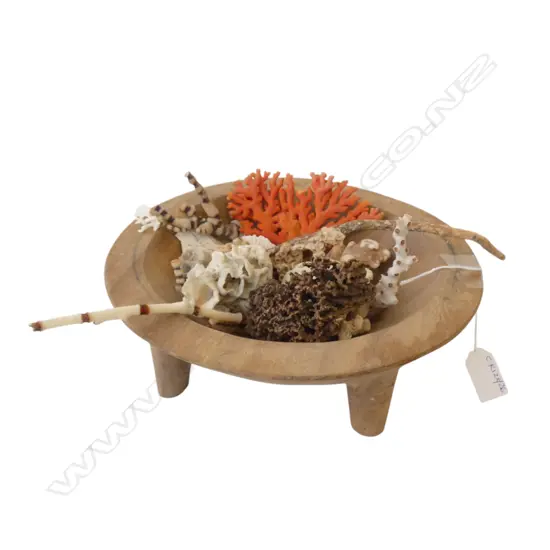 ASST. NZ DEEP SEA CORALS IN WOODEN KAVA BOWL 250mm dia