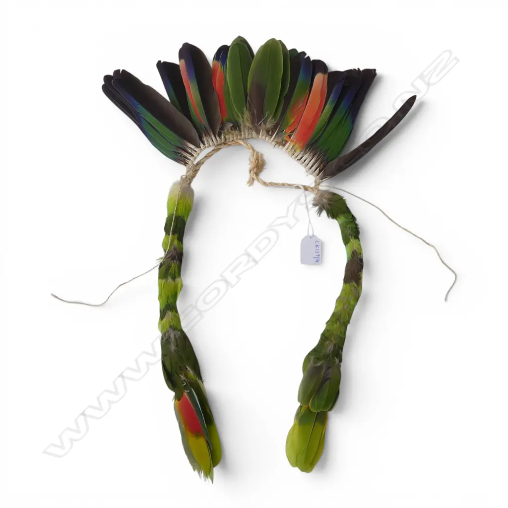 AMAZONIA BIRD FEATHER NECKLACE Image 1++