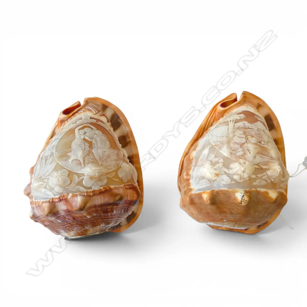 2 CARVED CONCH CAMEO SHELLS AS LIGHT FITTINGS H.145mm Image 1++