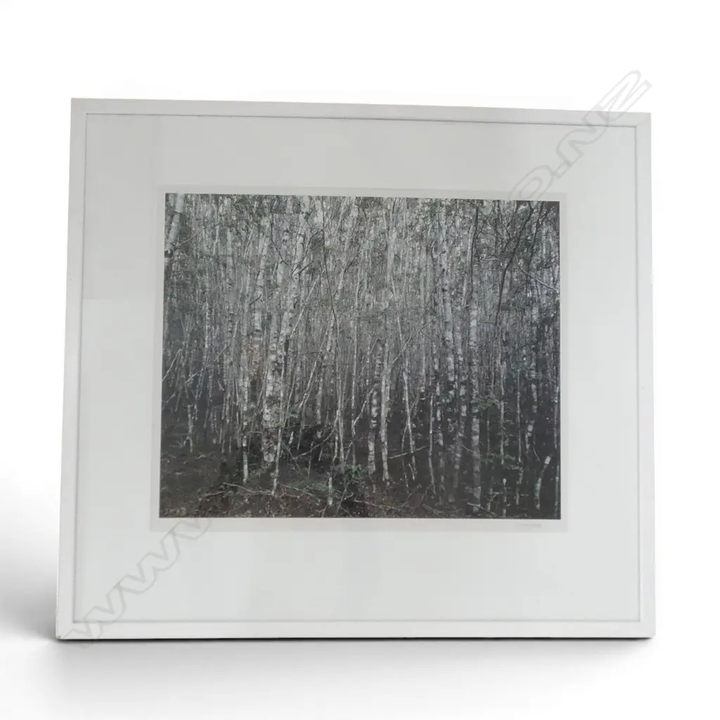 CRAIG POTTEN, UNTITLED PHOTOGRAPH, SIGNED, 450x545mm Image 1++